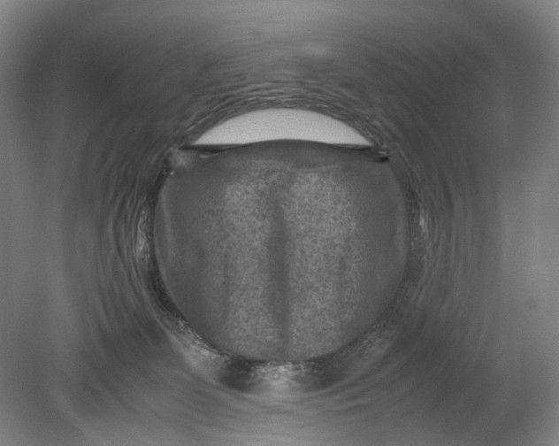 X0000080750131200701051220