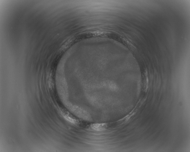 X0000080750136200701051220