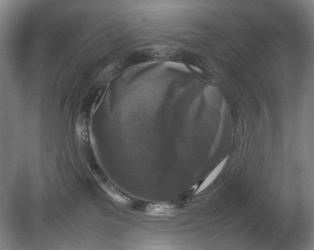 X0000080750137200701051220