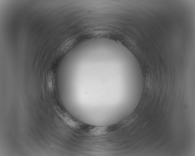X0000080750138200701051220