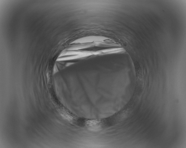 X0000080750139200701051220