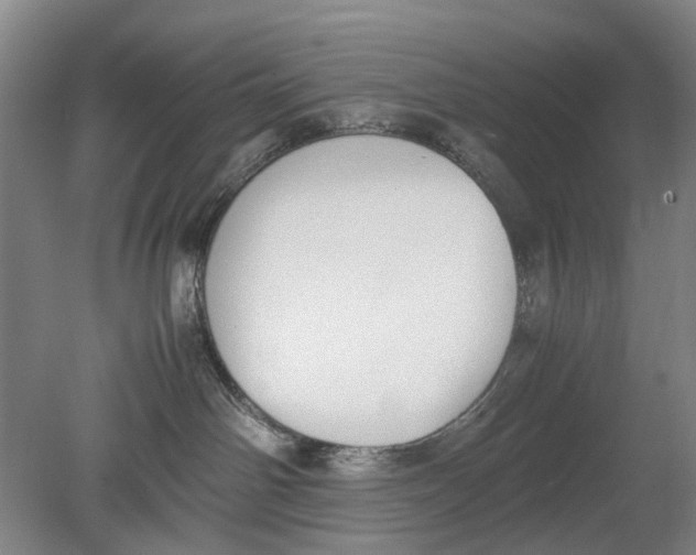 X0000080750142200701051220