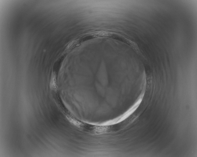 X0000080750143200701051220