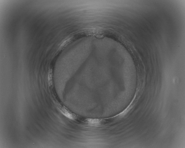 X0000080750144200701051220