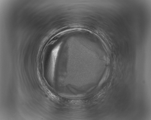 X0000080750145200701051219
