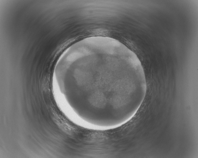 X0000080750146200701051219