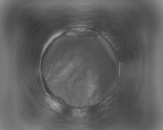 X0000080750147200701051219