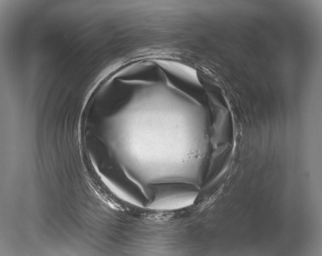 X0000080750148200701051219