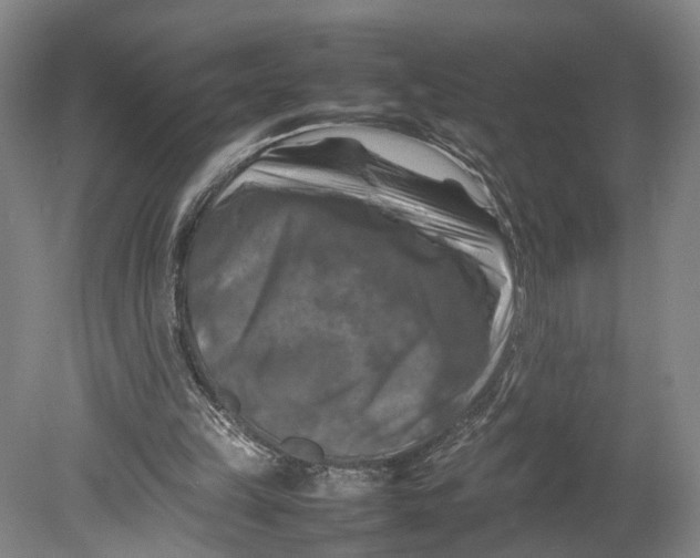 X0000080750149200701051219