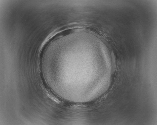 X0000080750150200701051219