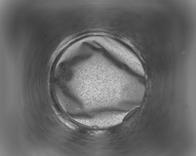 X0000080750151200701051219