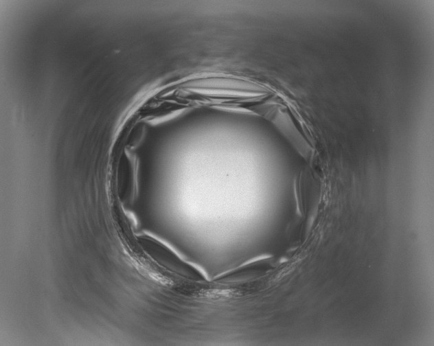 X0000080750152200701051219