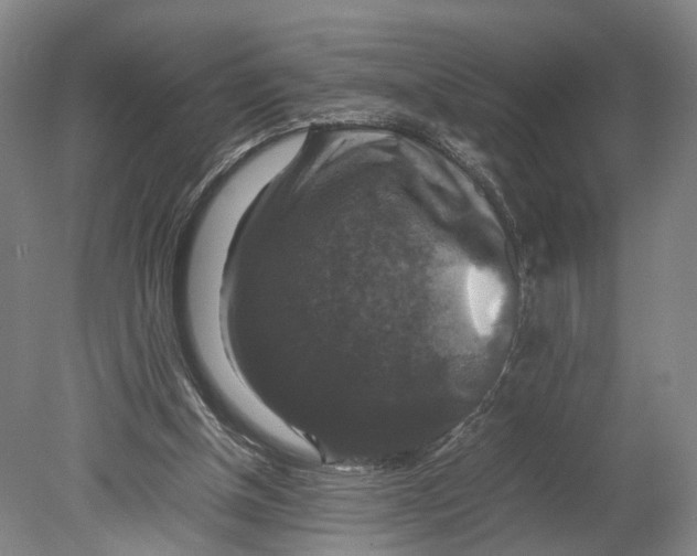 X0000080750154200701051219