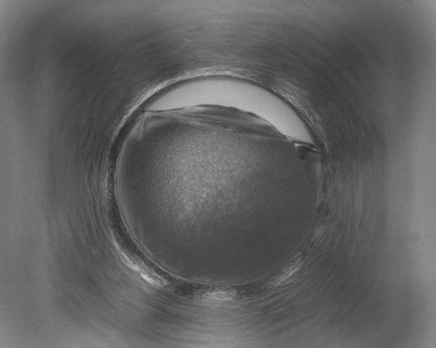 X0000080750156200701051219