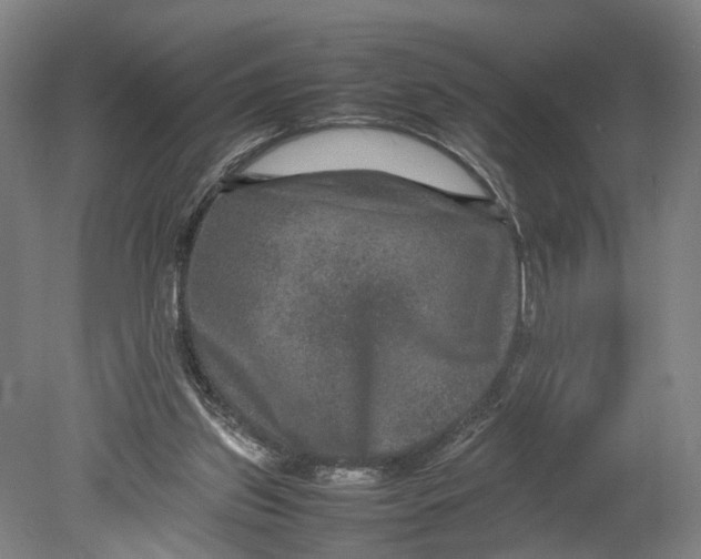 X0000080750157200701051219