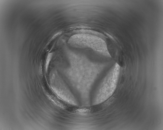 X0000080750158200701051219