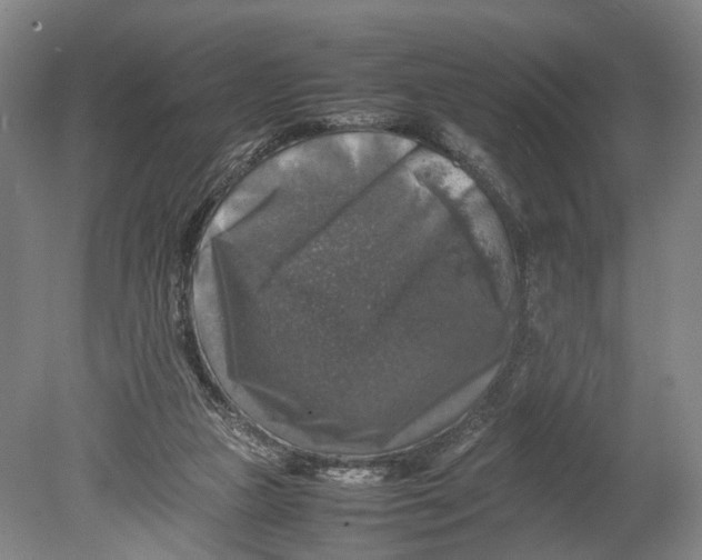 X0000080750161200701051219