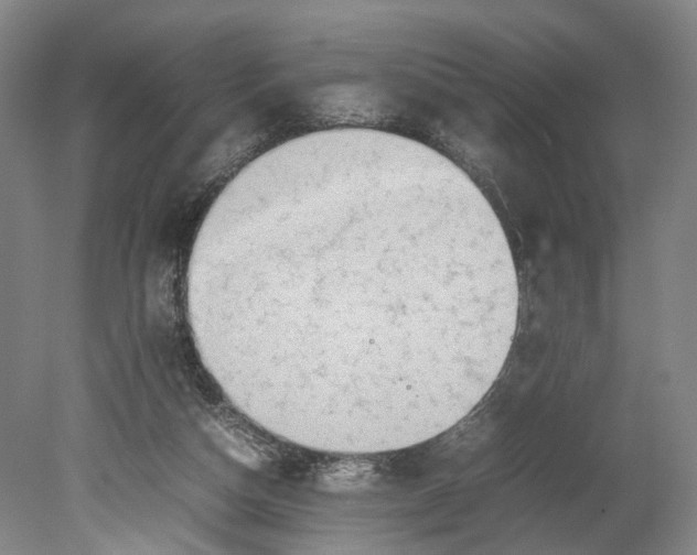X0000080750162200701051219