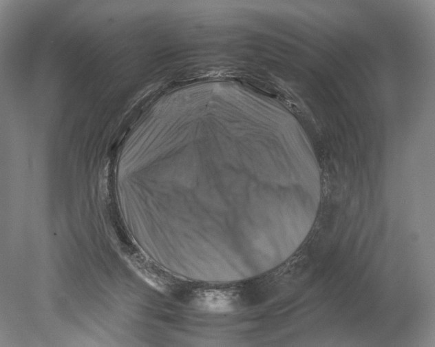 X0000080750163200701051219