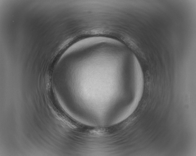 X0000080750164200701051219