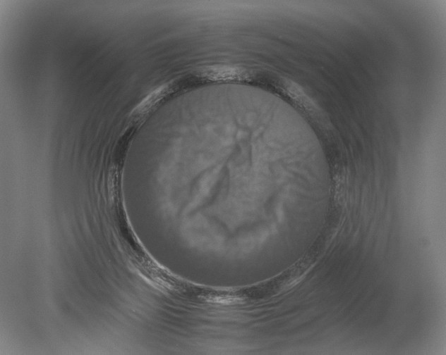 X0000080750165200701051219