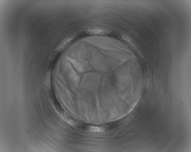X0000080750167200701051219