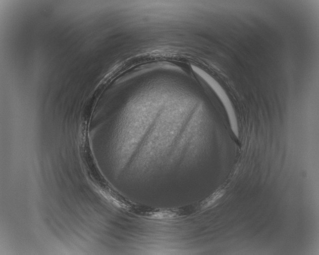 X0000080750168200701051219