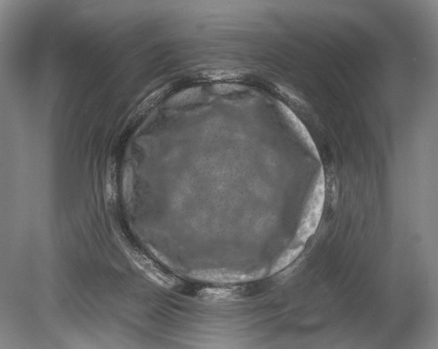 X0000080750170200701051219