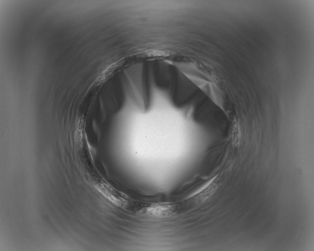 X0000080750172200701051219