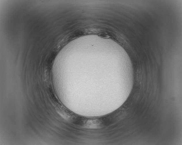X0000080750173200701051219