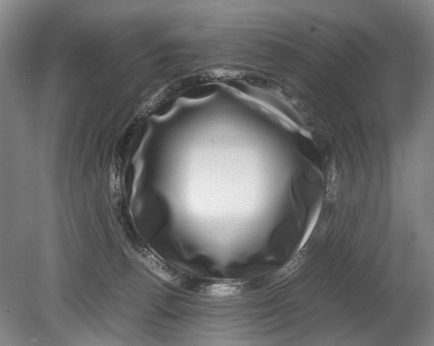 X0000080750176200701051220