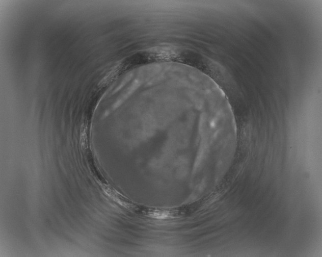 X0000080750177200701051220