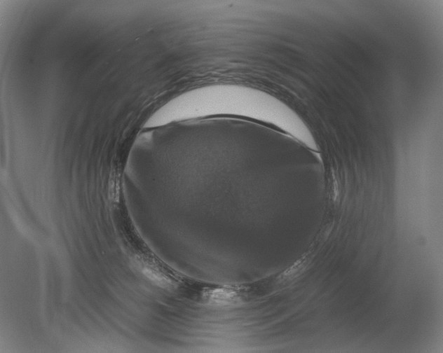 X0000080750180200701051220