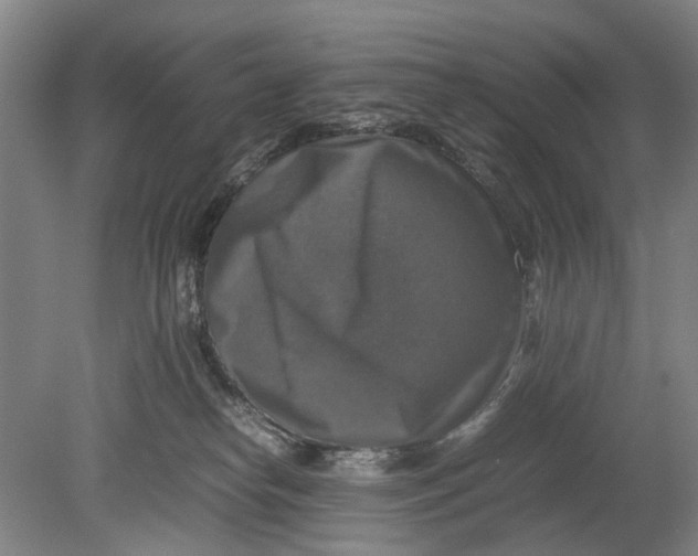 X0000080750182200701051220