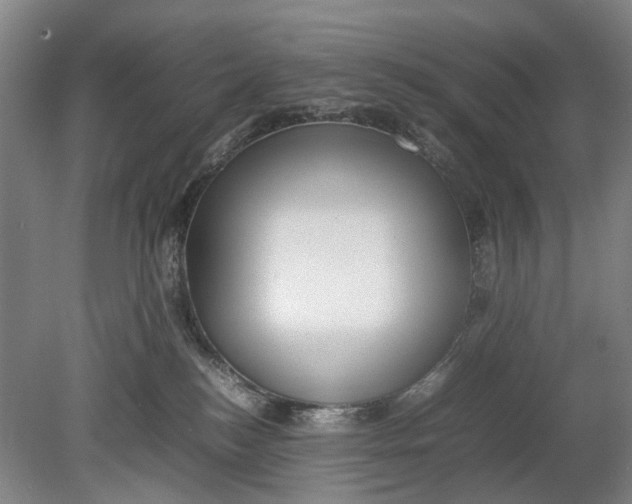 X0000080750184200701051220
