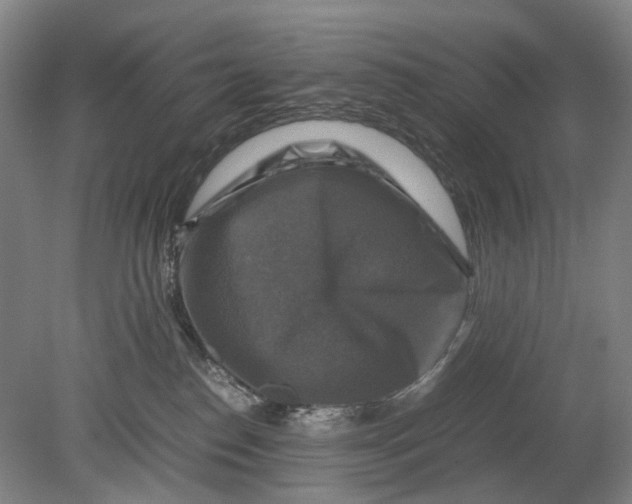 X0000080750186200701051220