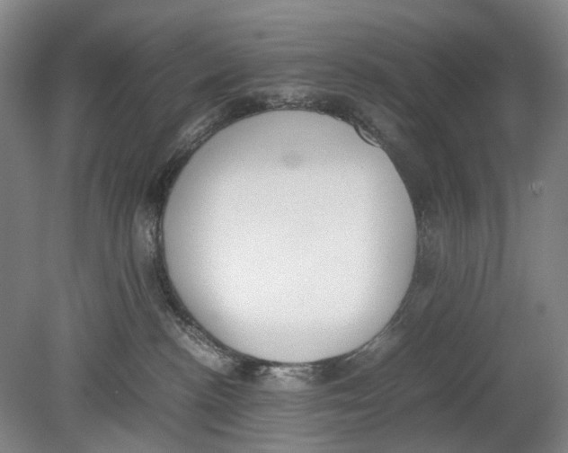 X0000080750188200701051220
