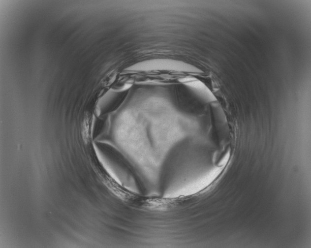 X0000080750190200701051220