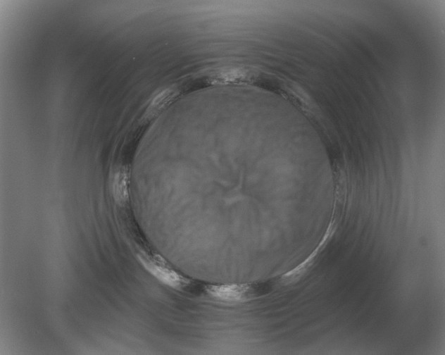 X0000080750191200701051220