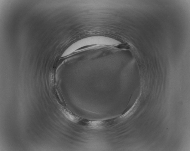X0000080750192200701051220