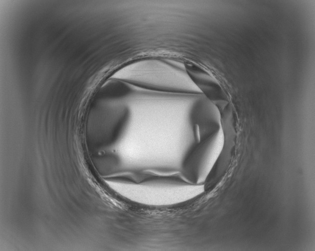 X0000080750193200701051219