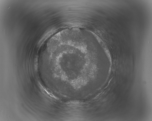 X0000080750194200701051219