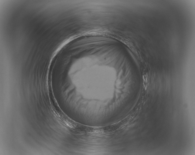 X0000080750196200701051219