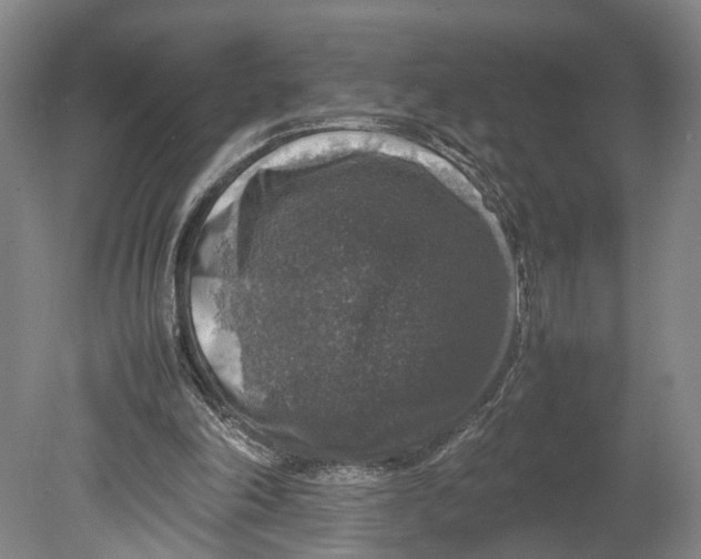 X0000080750198200701051219