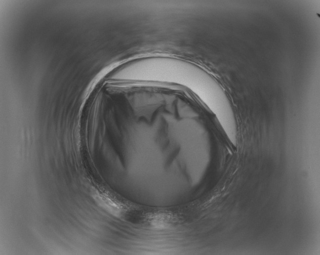 X0000080750200200701051219