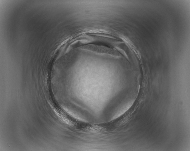 X0000080750201200701051219