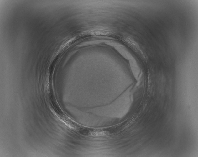 X0000080750202200701051219