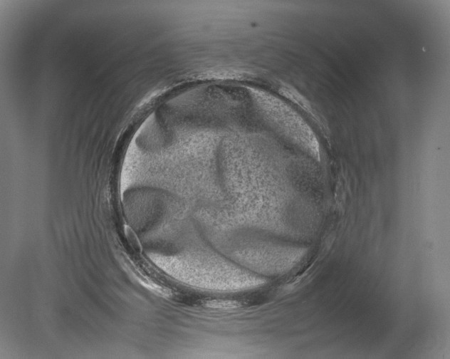 X0000080750203200701051219