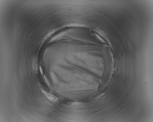 X0000080750204200701051219