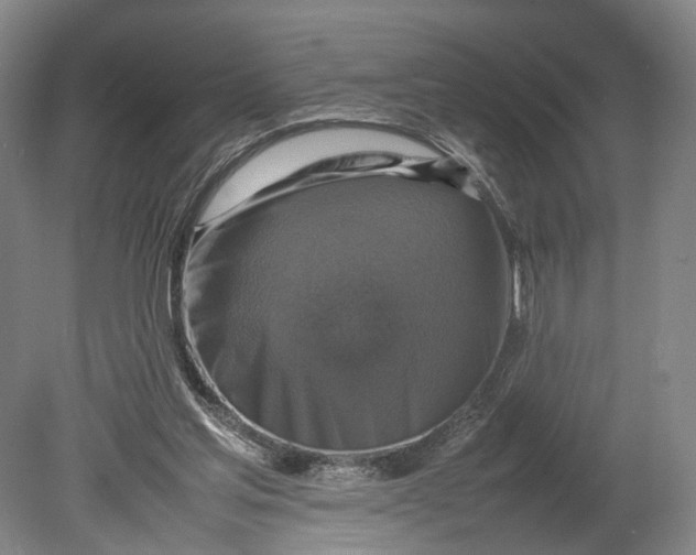 X0000080750205200701051219